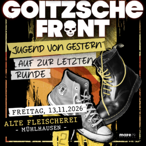 Warenkorb 3 GOITZSCHE FRONT - JUGEND VON GESTERN